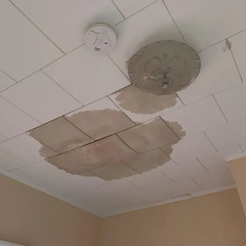 Ceiling Water Damage Repair in Thedford, NE