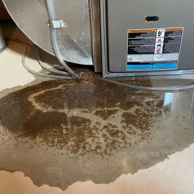 Pipe Burst and Leak Restoration in Thedford, NE
